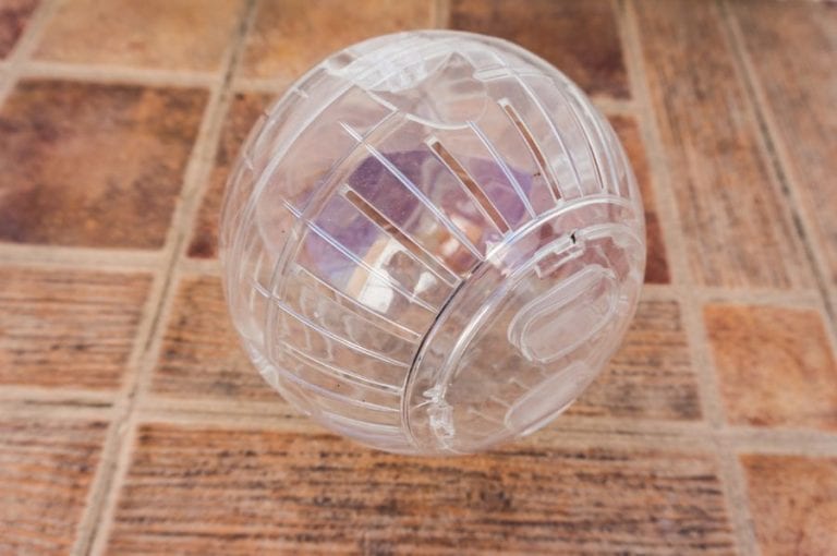 Hamster Ball
