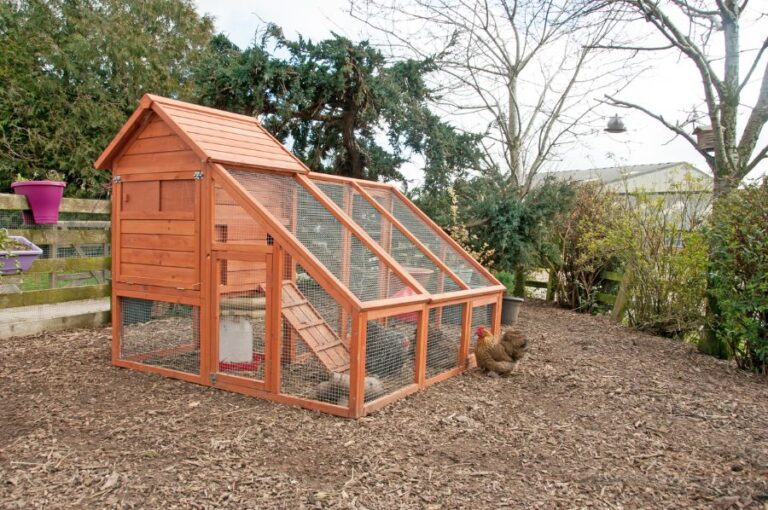 Wooden Chicken Coop