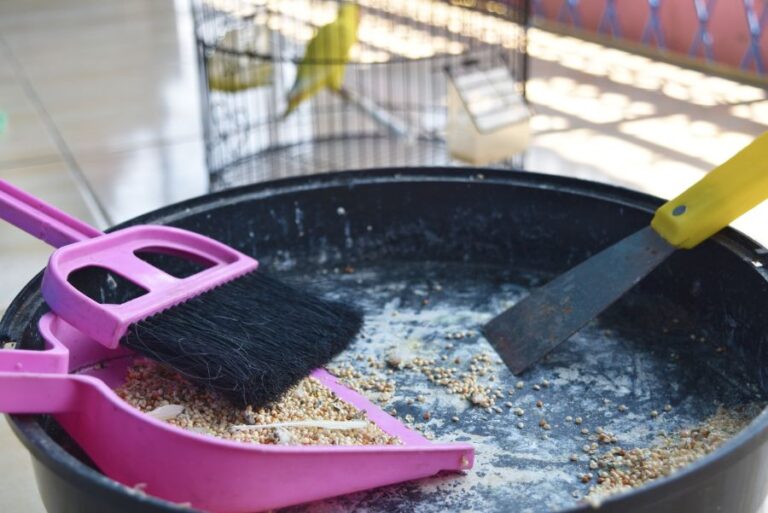 Cleaning Bottom of Bird Cage