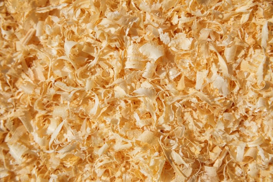 Can You Really Use Wood Shavings for Cat Litter!? Fur, Wings, & Scaly