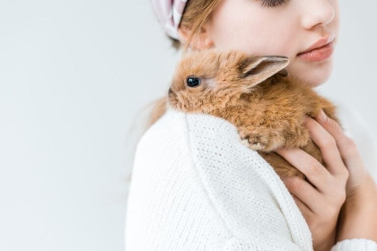 Young Girl Cuddling Rabbit Over Her Shoulder